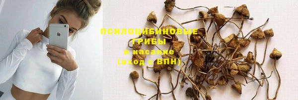 бошки Аркадак