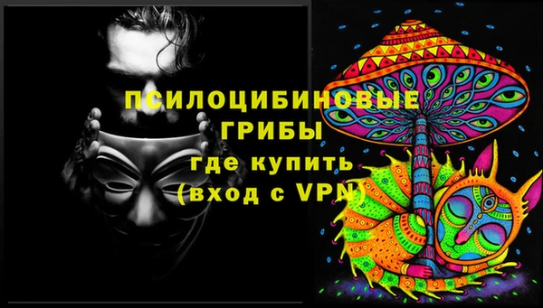 кокс Баксан