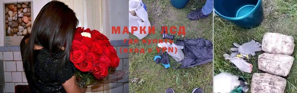кокс Баксан