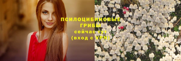 кокс Баксан