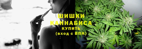 бошки Аркадак