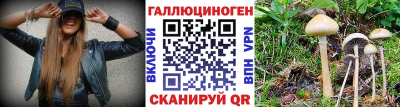 мориарти формула  наркошоп  Райчихинск  Галлюциногенные грибы GOLDEN TEACHER  гидра как войти 